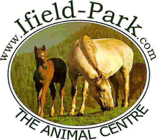Ifield Park Animal Centre is a family run business that has everything for you pet.  Whether it is a horse, cow, pig, dog, cat, ferret, pigeon, sheep, pheasant or another favoured animal we will probably have what you are looking for.  Call us on 0845 1 300 460